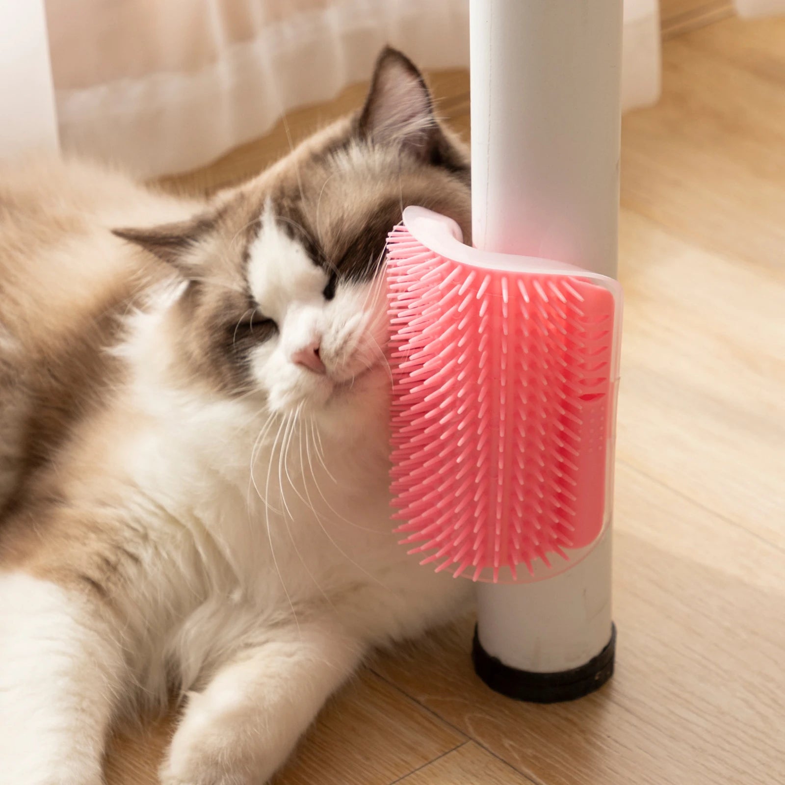 Softer Self Groomer with Catnip Wall Corner Massage Comb Scratcher Grooming Brush Tool for Long & Short Fur Kitten Cats Dogs