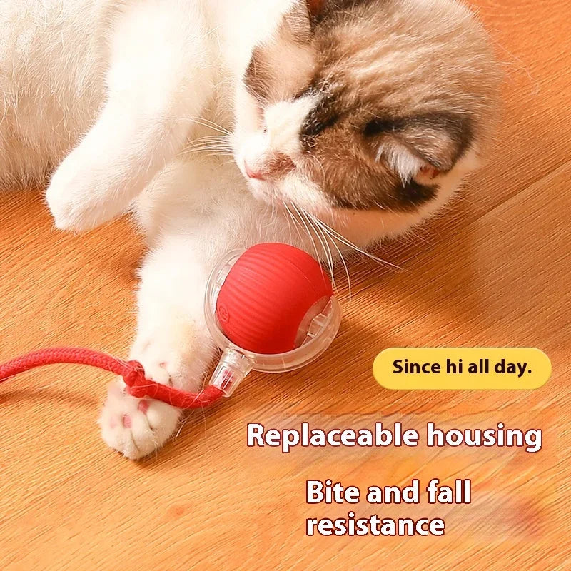 Cat Toy-Motion Sensor, Random Rolling,Bird Chirping,Long Tail Teaser-Engaging Kitten Toy for Endless Fun and Exercise