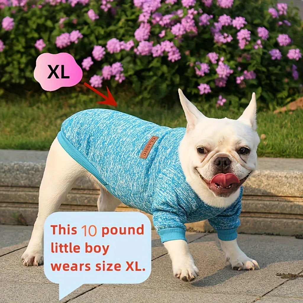 New Two-legged Multi-color Dog Clothing, Puppy Thin Velvet Sweater, Dogs And Cats Pet Clothes For Autumn And Winter