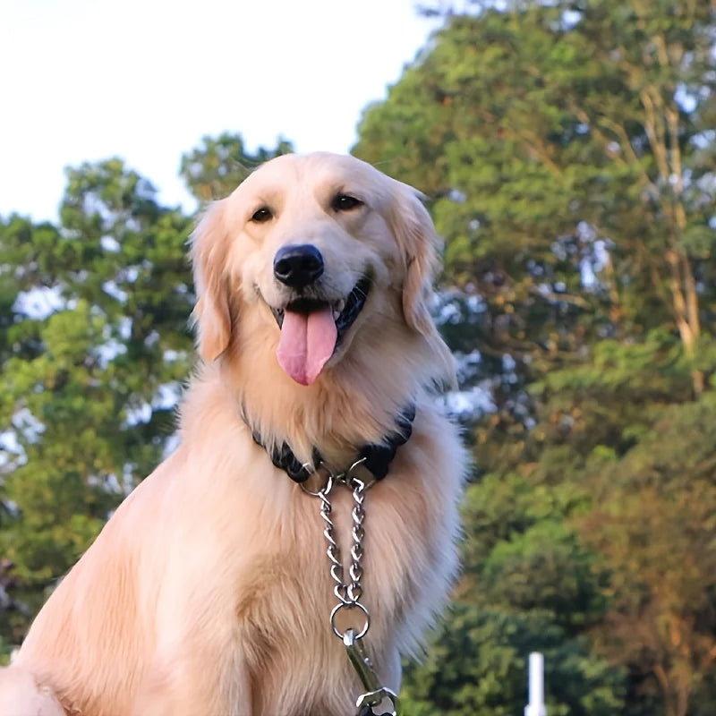 Thick Nylon Braid Collar for Large Dog,Iron collar chain, The iron collar chain is strong and strong, and can better leash
